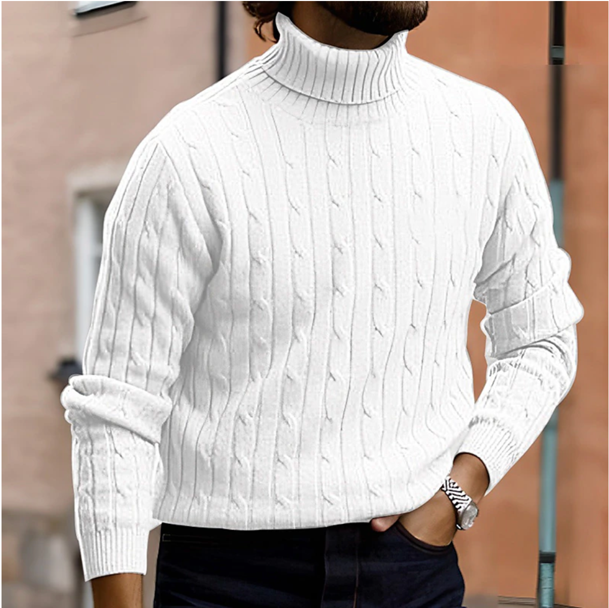 Vellemere | Men's Turtleneck Sweater