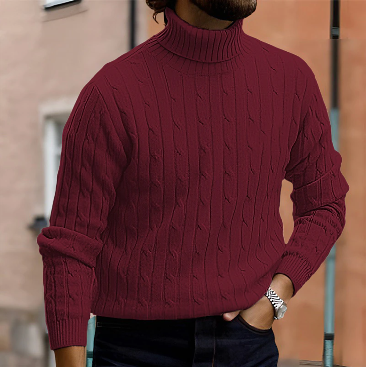 Vellemere | Men's Turtleneck Sweater